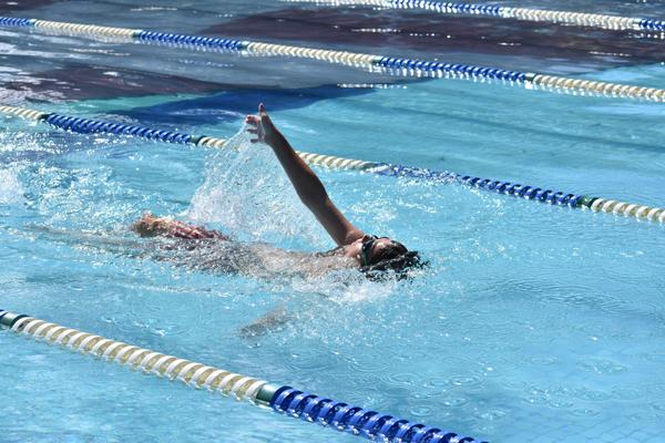 SCHOOL SWIMMING CARNIVAL Banner Photo