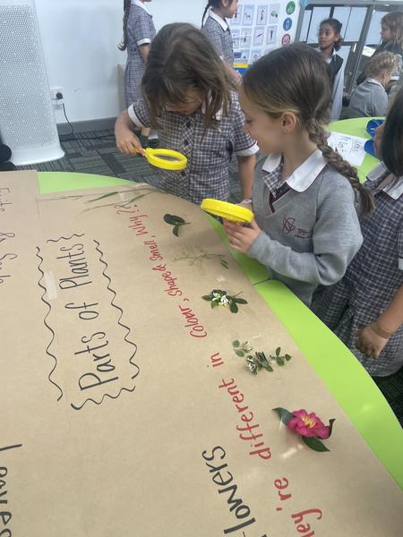 Learning and TeachingCommunity, Excellence, Respect. Banner Photo