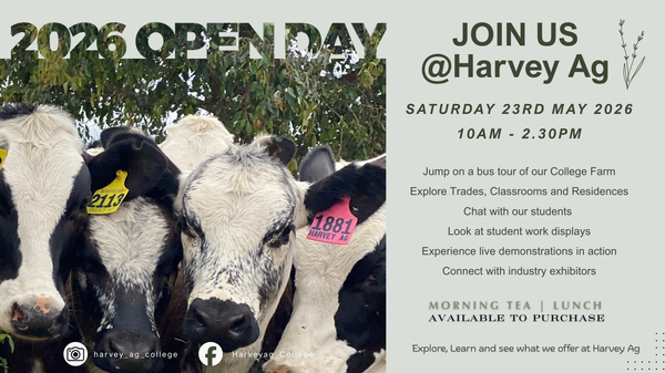 OPEN DAY Banner Photo