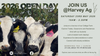 OPEN DAY Banner Photo