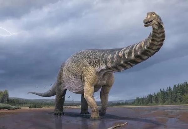 Library News Banner Photo