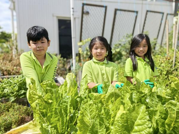 Environmental Education News Banner Photo