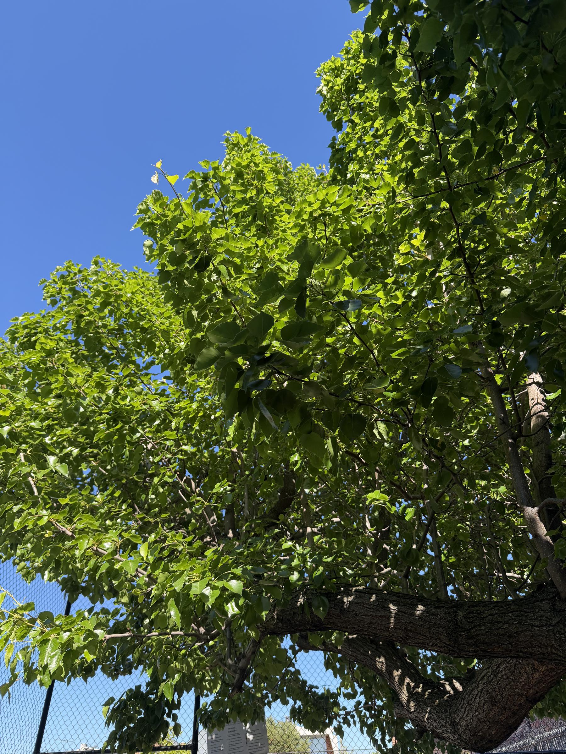 Banner Photo