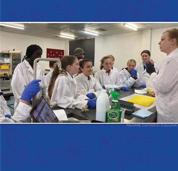 Year 8 Science 

Heart Dissection Banner Photo