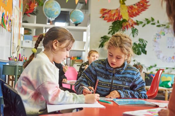 Curriculum Updates Banner Photo