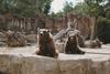 3/4 Kyabram Fauna Park - Postponed Banner Photo