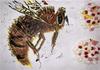 Year 7G and Year 7J Art & Design Banner Photo