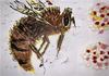 Year 7G and Year 7J Art & Design Banner Photo