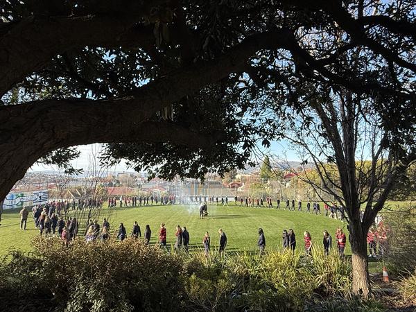 Director of Teaching & Learning Update Banner Photo