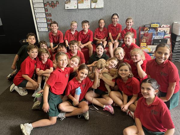 Year 4 News  Banner Photo