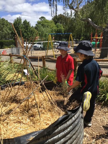 School News  Banner Photo