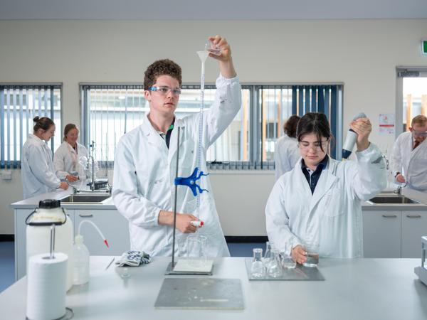 Directors Update Banner Photo