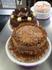 Food Technology Banner Photo