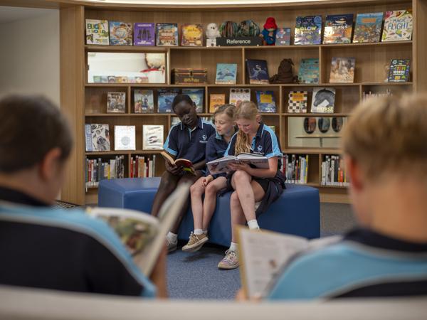 Library  Banner Photo