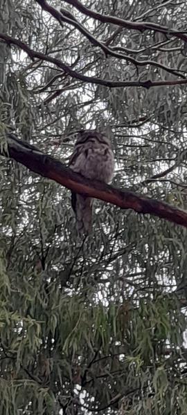 Specialist Subjects  Banner Photo