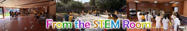 STEM News Banner Photo