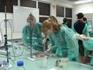 The Science Experience 2027 Banner Photo