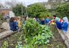 Kitchen Garden Banner Photo