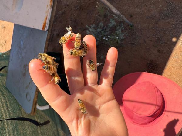 Class 2 News Banner Photo