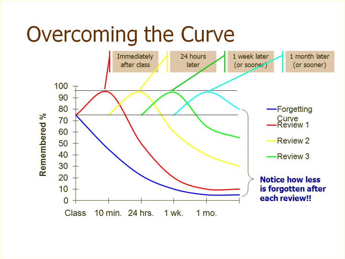 Curve Nation