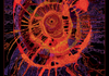 Naidoc Week Banner Photo