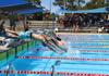 Swimming Carnival Results Banner Photo