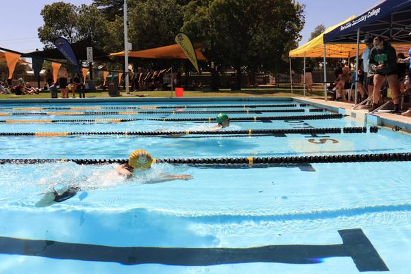 HOUSE SWIMMING CARNIVAL Banner Photo