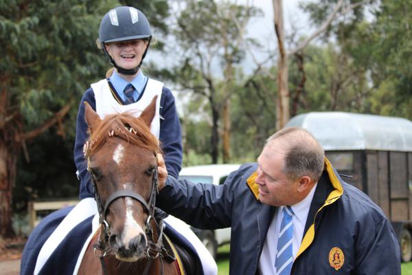 Equestrian Banner Photo