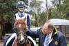 Equestrian Banner Photo