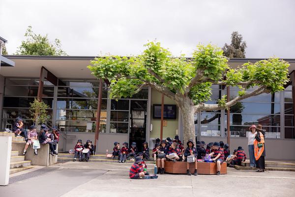 Primary School Banner Photo
