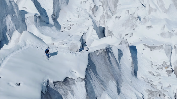 Year 5 News Banner Photo