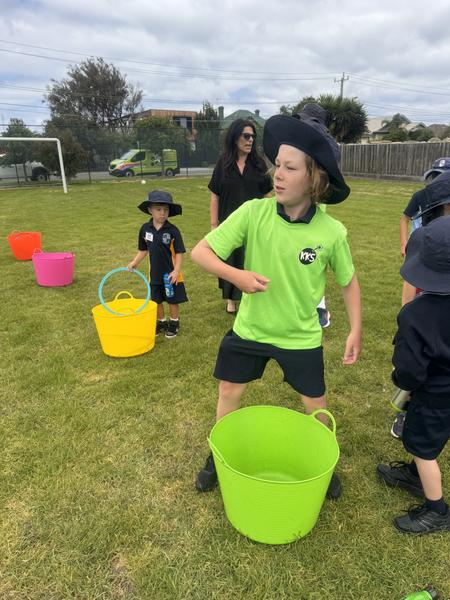 Curriculum News Banner Photo