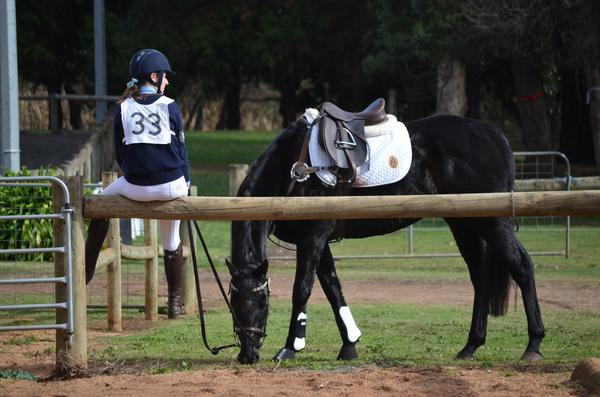 Equestrian Banner Photo