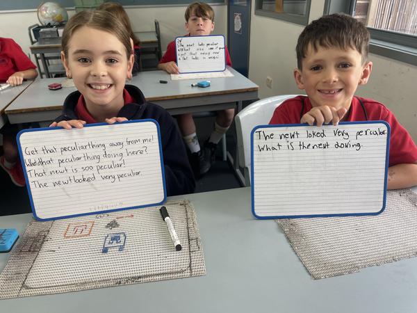 Grade 3 News Banner Photo