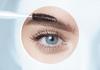 Social Brow Banner Photo
