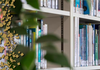 IRC News Banner Photo