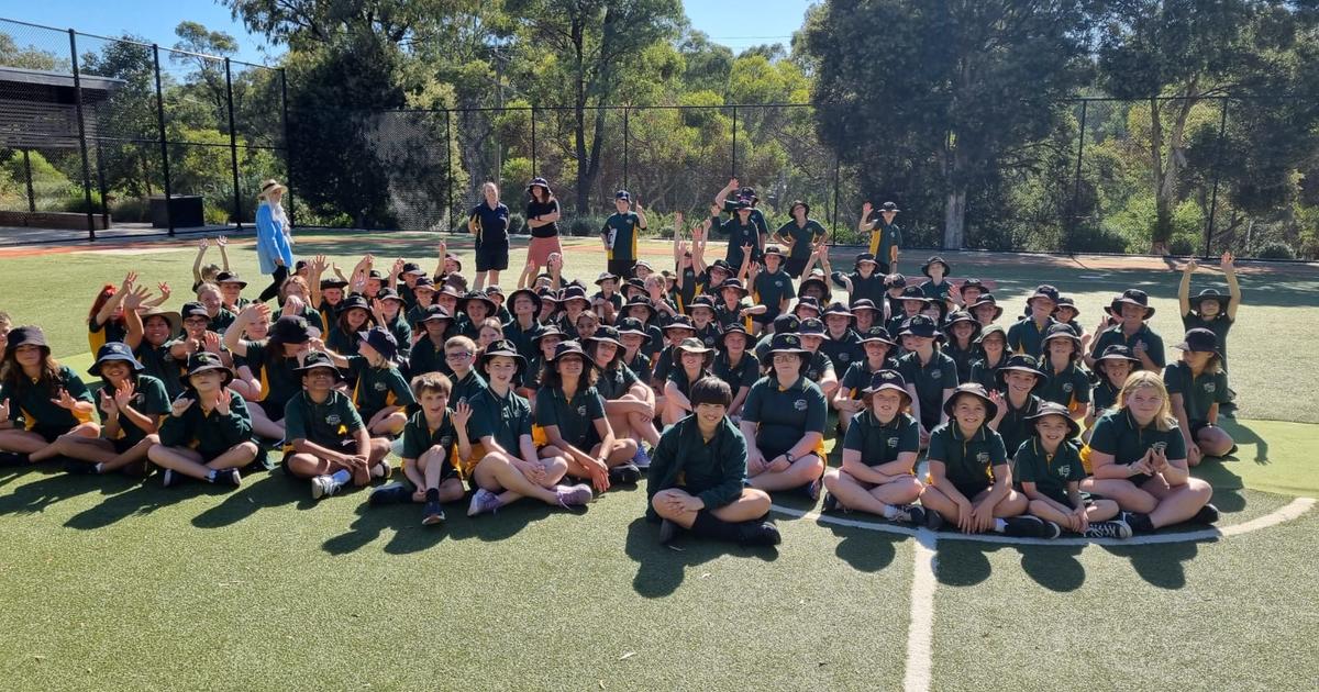 Spring Gully Primary School - Be Awesome - Issue 9