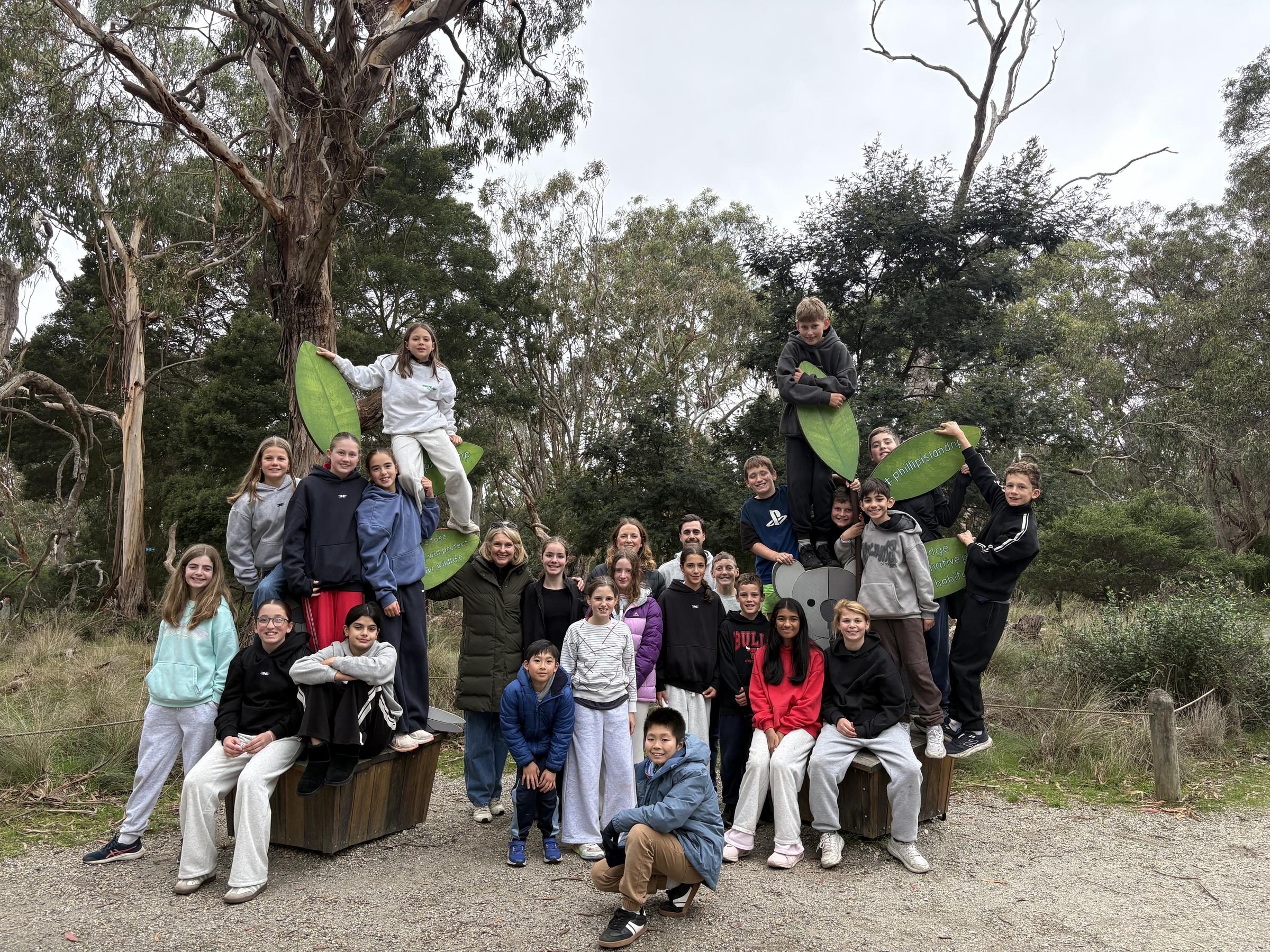 Banner Photo