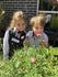Principal's News Banner Photo