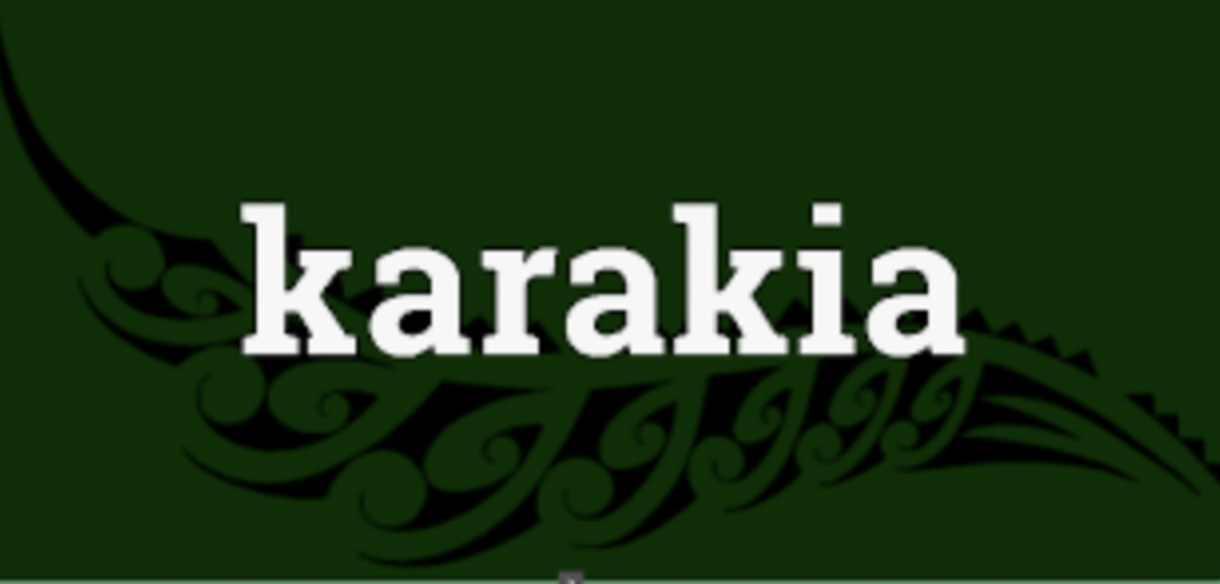 Te K puku O Te N kau Issue 27 te-k-puku-o-te-n-kau-issue-27