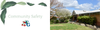 Road Safety Program Banner Photo