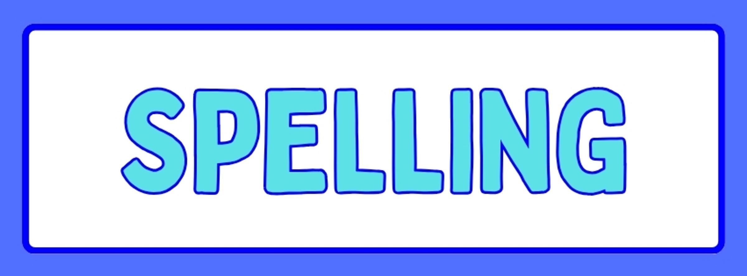 Year 2 Bulletin Banner Photo