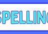 Year 2 Bulletin Banner Photo