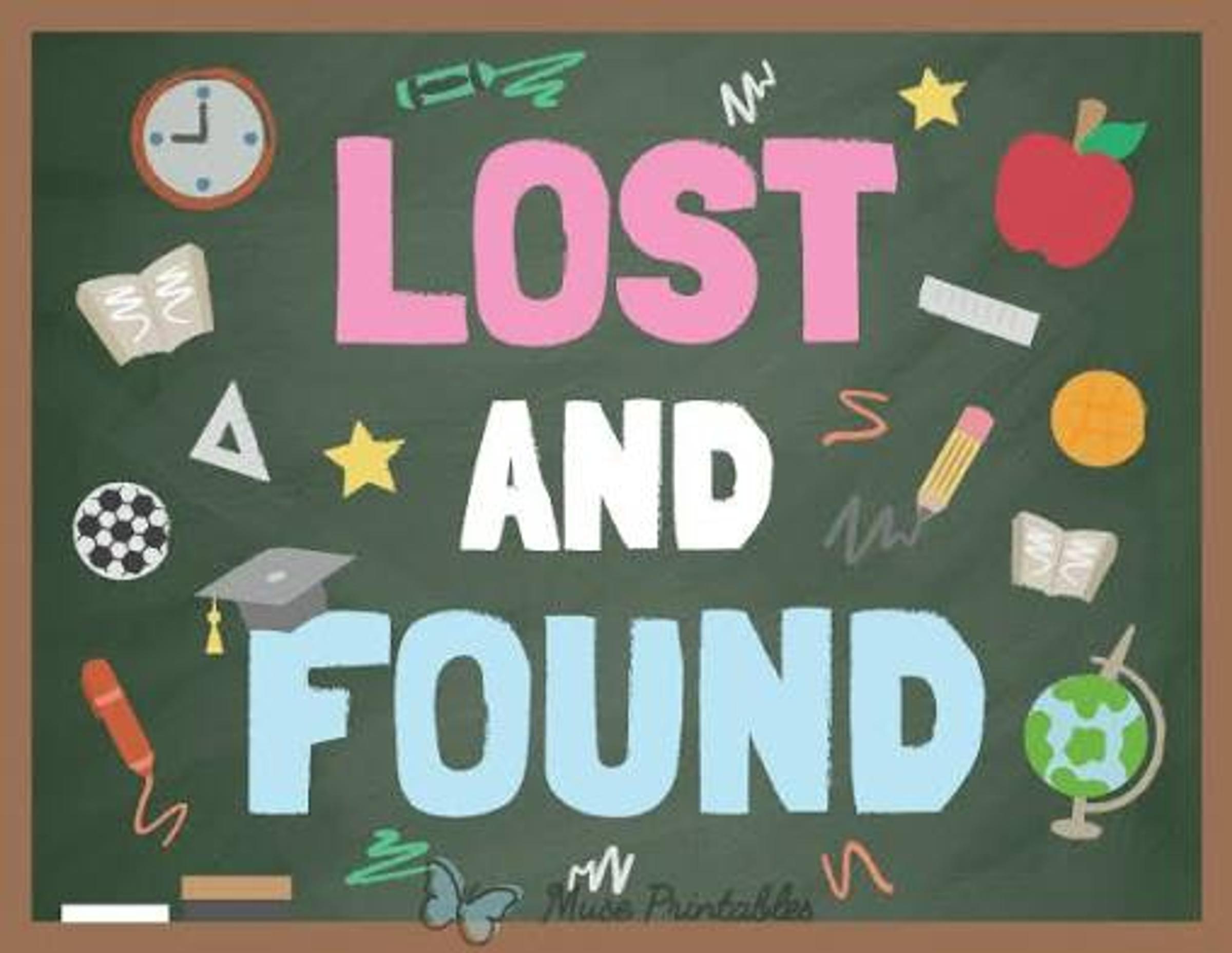 MPPS LOST PROPERTY Banner Photo