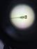 Science News Banner Photo