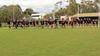 House Cross Country Banner Photo