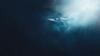 Highlights Banner Photo