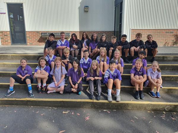 Year 5 & 6 Banner Photo