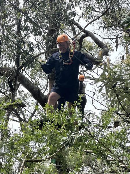 Principal’s News Banner Photo