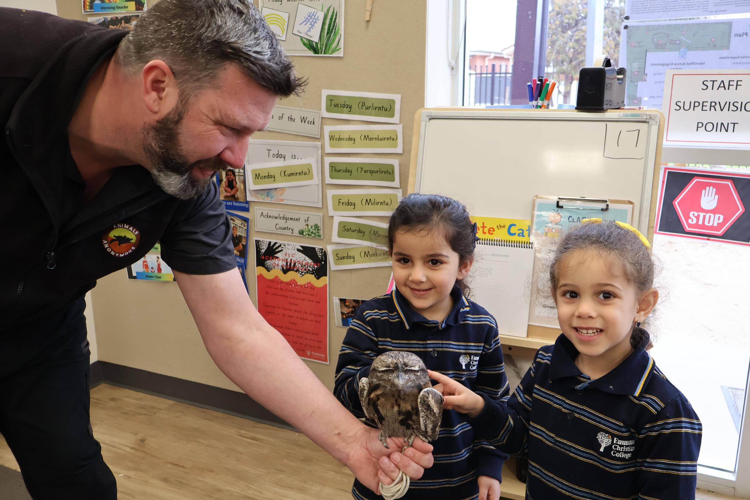 Early Learning Centre (ELC) Banner Photo